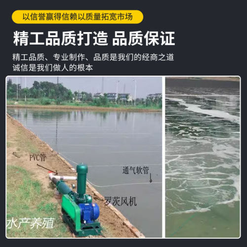 高压三叶罗茨风机鱼塘增氧机水产养殖冲氧泵底氧纳米曝气推水包邮 - 图2