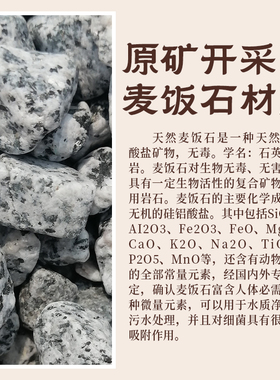 麦饭石头疗艾灸罐头部神器具按摩刮痧艾炙工具美容院温灸仪专用