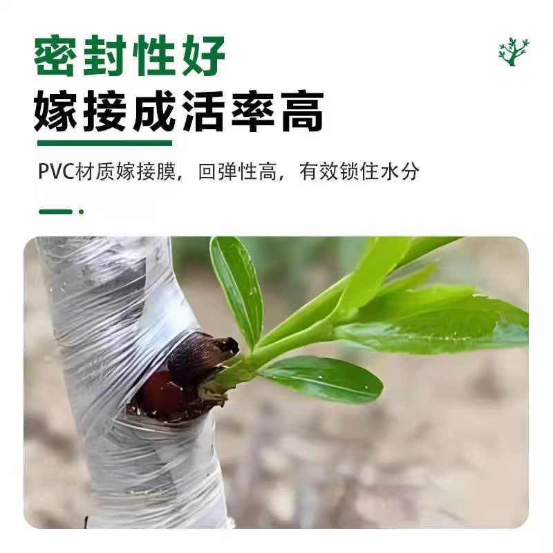 嫁接膜专用膜PE无需打结薄膜自粘式园林果树嫁接胶带包扎带缠绕膜 - 图0