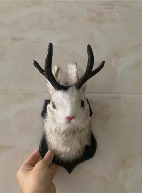 独立站爆款鹿角兔墙饰复