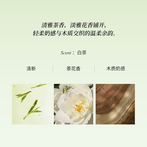 白茶味香氛气味博物馆香氛持久淡香新鲜的茶香男香女香畅销款 - 图0