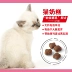 Bánh sữa mèo hoàng gia BK34 cho con bú cho con bú mẹ cho con bú mẹ mèo thức ăn chủ yếu 2kg Anh mèo ngắn loại chung - Cat Staples felipro Cat Staples