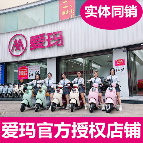 爱玛电动车充电器原装正品48V60V72V/12AH20AH3A原厂电瓶车充电器 - 图0