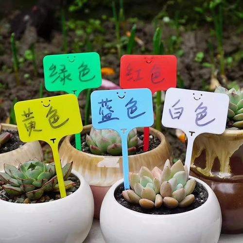 植物标签牌插地牌标识标牌记号标签牌一体书写标记多肉果树指示牌 - 图0