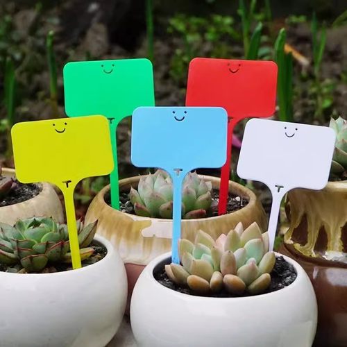 植物标签牌插地牌标识标牌记号标签牌一体书写标记多肉果树指示牌 - 图2