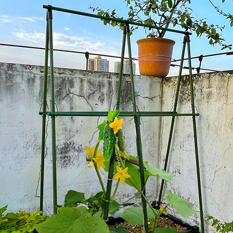 包塑钢管园艺支架豆角黄瓜爬藤支撑杆花园庭院植物番茄固定爬藤架 - 图0