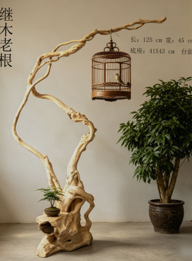 树根落地鸟笼中式复古实木