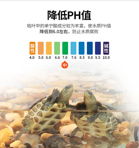 乌龟龙眼叶养龟躲避治疗水龟龟腐皮烂龟缸造景植物叶子饲养龟PH调 - 图1
