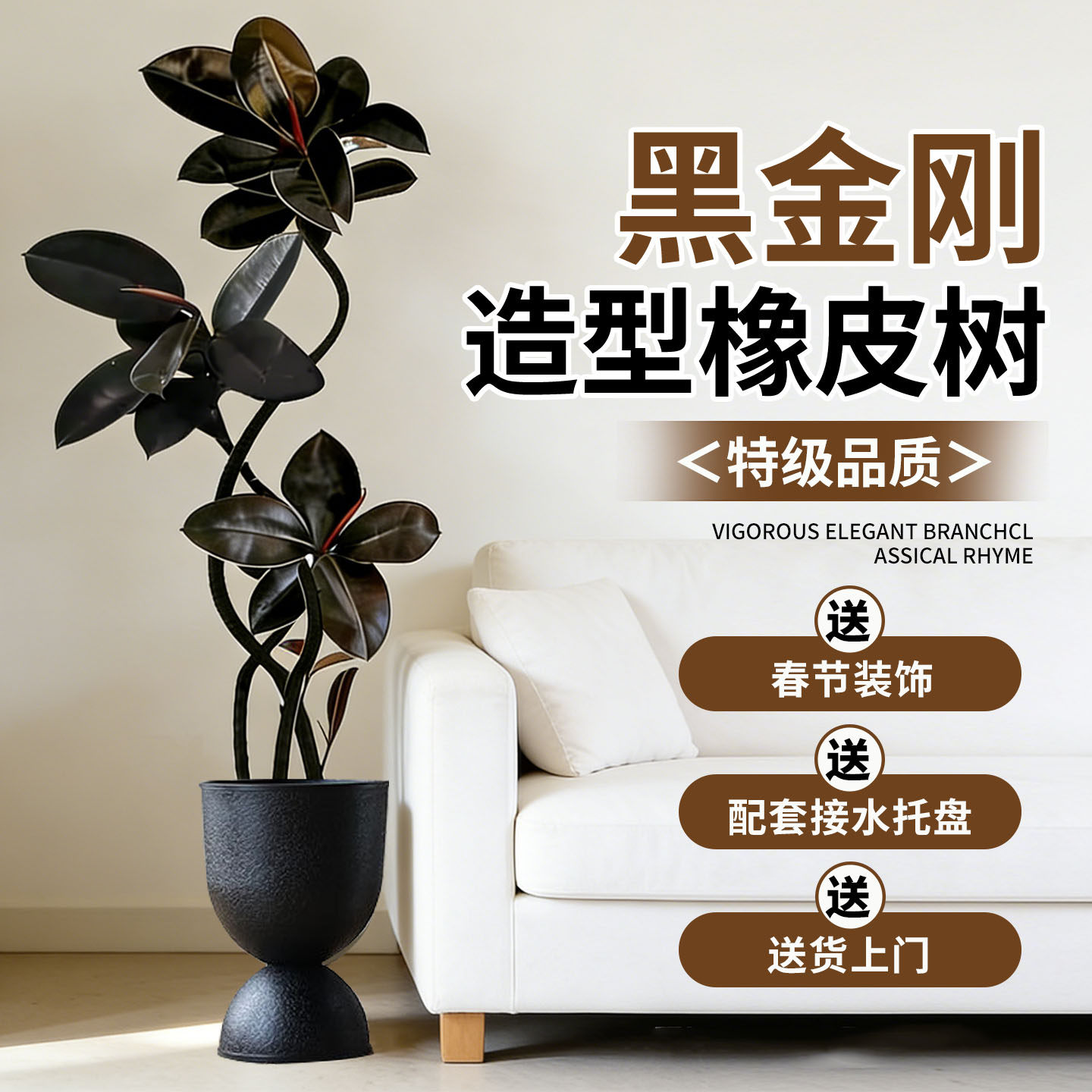 橡皮树大型绿植黑金刚客厅大盆栽拗造型室内办公室四季好养真植物,淘宝优惠券,粉丝福利购,淘宝优惠卷