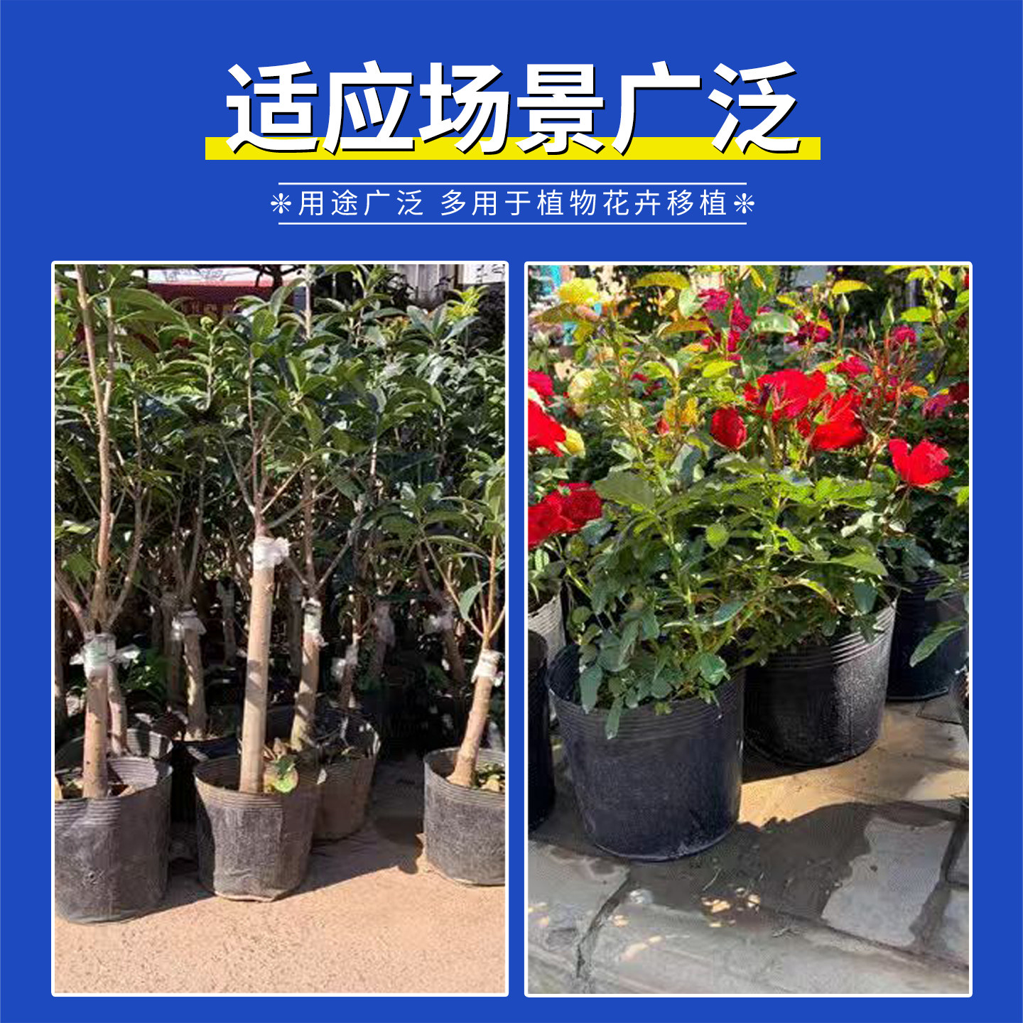 育苗杯营养杯营养钵育苗盆塑料一次性农用加厚营养袋育苗袋花盆,淘宝优惠券,粉丝福利购,淘宝优惠卷