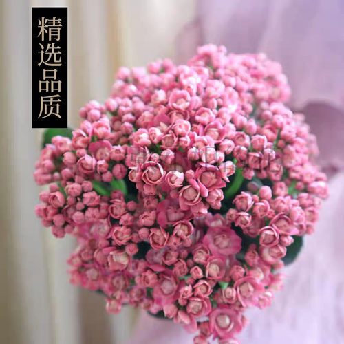 【昊景重瓣小长寿花】带花苞植物多肉盆栽植花期长办公室阳台好养 - 图0
