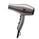 Fire phoenix hair dryer hair dryer