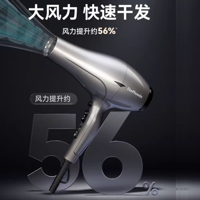 Fire phoenix hair dryer hair dryer