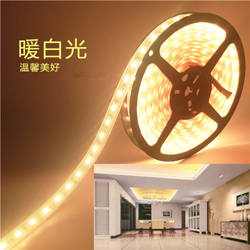 LED灯带12V伏套管防水灯条5050七彩RGB软灯条户外防水防雨硅胶24V - 图1