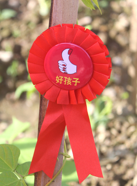 5朵装教师奖励大红荣誉勋章胸针