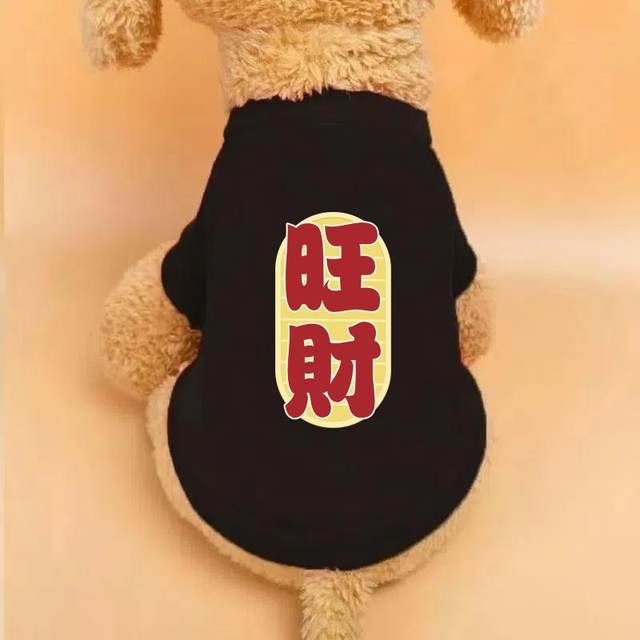 New year festive new puppy autumn and winter plus velvet