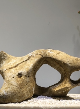 太湖石 假山盆景石头小摆件鱼缸造景附石观赏石天然石材原石抱石