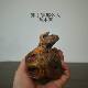 Pine wood, northern agarwood, natural logs, weathered wood ornaments, amber wood artifacts, handpieces, aged materials, high oiliness
