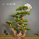 Simulated welcome pine root carving bonsai ornaments for hotel and B&B decoration simulated tree entrance indoor landscape Zen