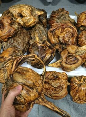 松明子陈化料自带香味土沉香琥珀木客厅茶桌摆件手把件高油性