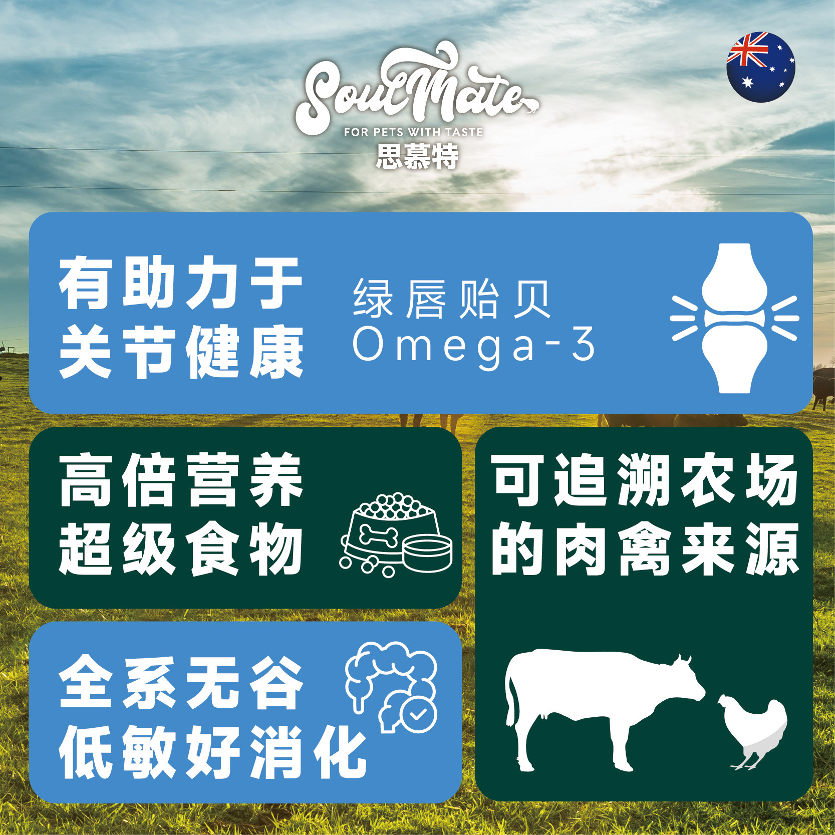 图4