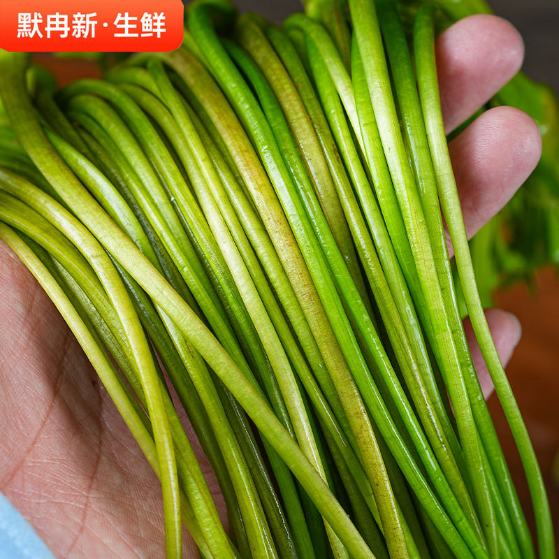 【现货】新鲜海菜1斤现摘云南当季蔬菜水性杨花大理洱海海菜包邮-图1