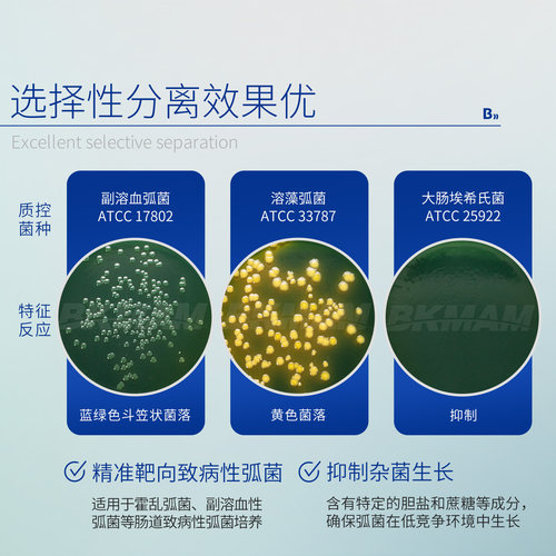水产弧菌检测盒试剂TCBS琼脂平板弧菌培养皿细菌弧菌快速测试盒 - 图2