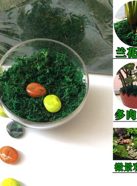 染色青苔仿真花铺面材料