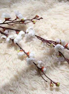 假花仿真梅花腊梅桃花居家酒店摆设婚庆路引布景店铺装饰摄影道具