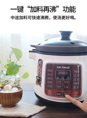 天际煲汤锅电用多功能快炖5L炖汤