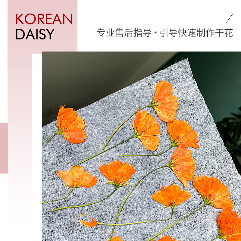 锅锅彩色ins压花干花压花板押花器押花植物标本制作工具干燥板diy 锅锅押花器 淘优券 锅锅彩色ins压花干花压花板押花器押花植物标本制作工具干燥板diy 锅锅押花器 淘优券