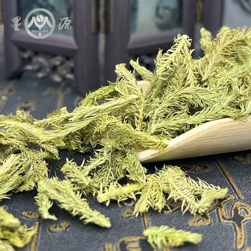 伸筋草中药材舒筋草申筋草生筋草石松草小伸筋草和搭宽筋藤透骨草