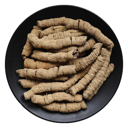 巴戟天中药材正品新鲜巴戟干货非野生粉泡酒水茶可搭淫羊藿肉苁蓉 - 图3