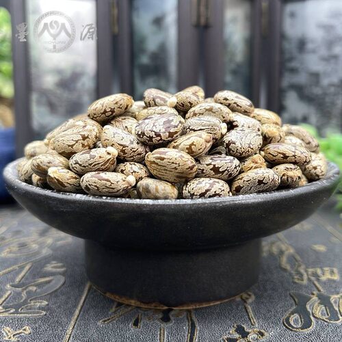 蓖麻子蓖麻籽蓖麻子蓖麻仁篦麻子大麻子萆麻子粉大粒新干货农产品 - 图2