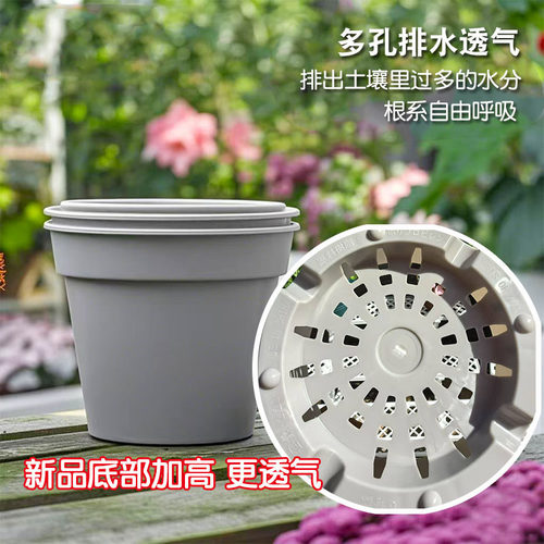 海蒂的花园爱丽思花盆素烧风绿植草本花卉植物塑料树脂家庭园艺 - 图1