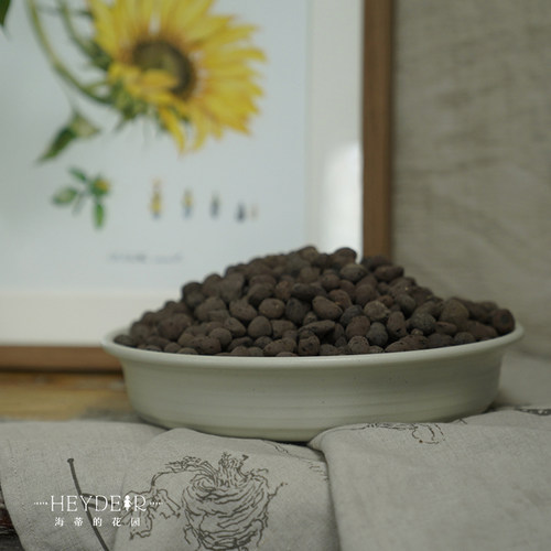 海蒂的花园 铺面陶粒花盆铺面石盆栽绿植花卉兰花垫底透气防烂根 - 图1