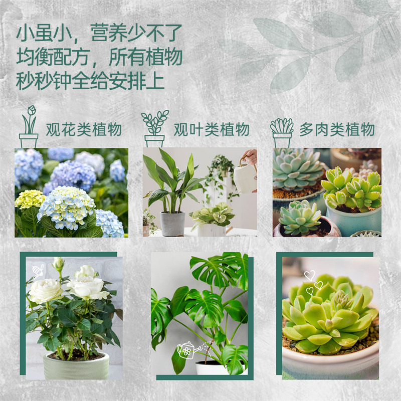 海蒂的花园 美乐棵植物棒状缓释肥营养棒花卉植物通用型肥料花肥,淘宝优惠券,粉丝福利购,淘宝优惠卷