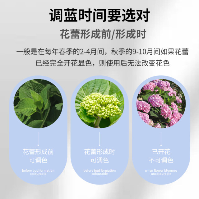 Heidi's garden hydrangea tuning blue agent imported Aibi Shi hydrangea flower dedicated blue hydrangea becomes blue nutrition particles