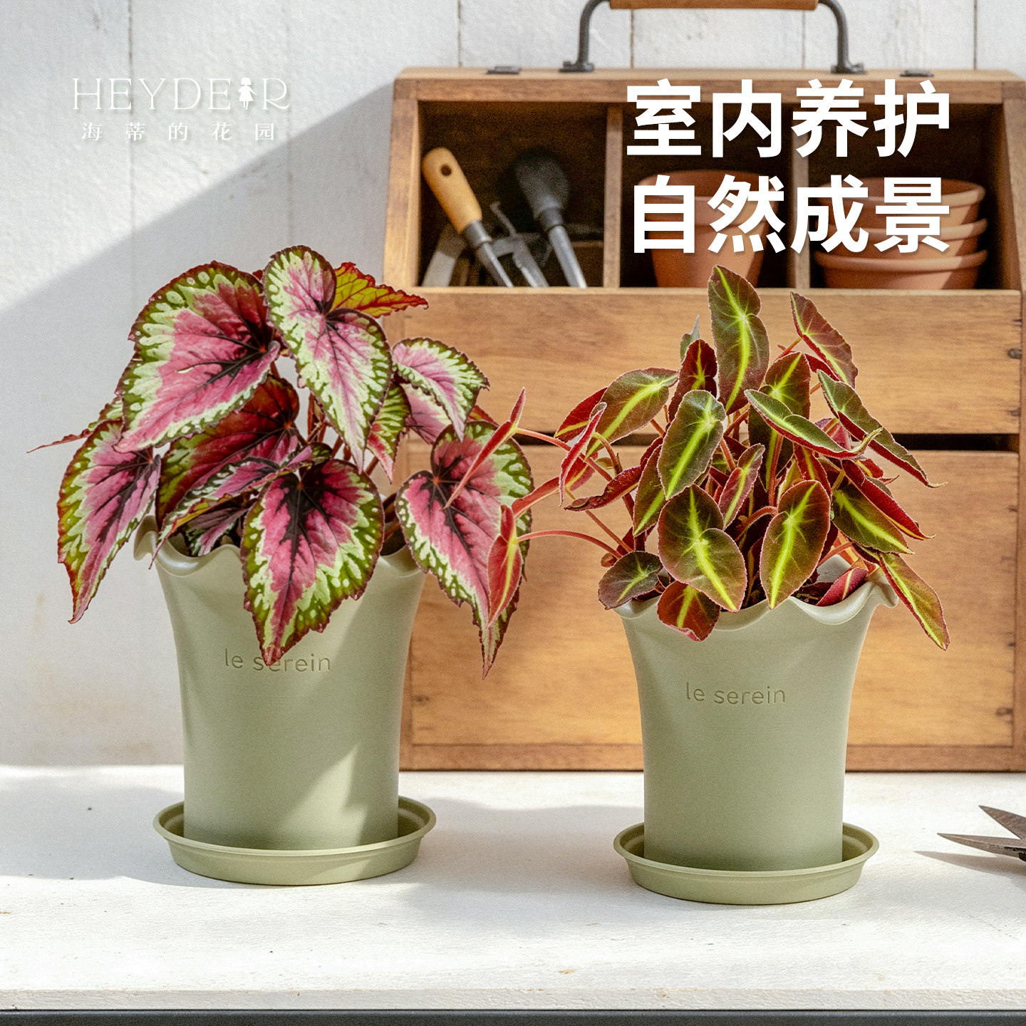 图3