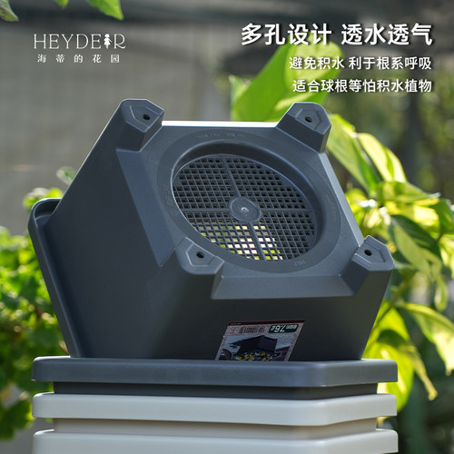 海蒂的花园爱丽思圆形方形球根花盆简约花卉绿植植物阳台庭院栽种 - 图1