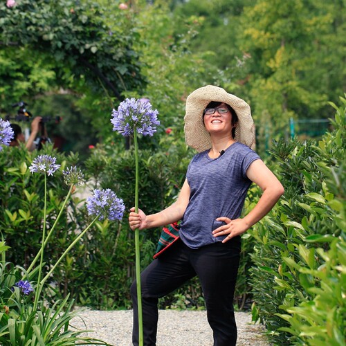 海蒂的花园百子莲圣母皇太后银宝宝庭院耐热耐晒植物花卉盆栽 - 图0