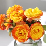 Сад Хайди Сад выдержанный Санрайз вертикальный тепло розовый тепло -устойчивый цветочный анти -дисайс балконы цветочные растения