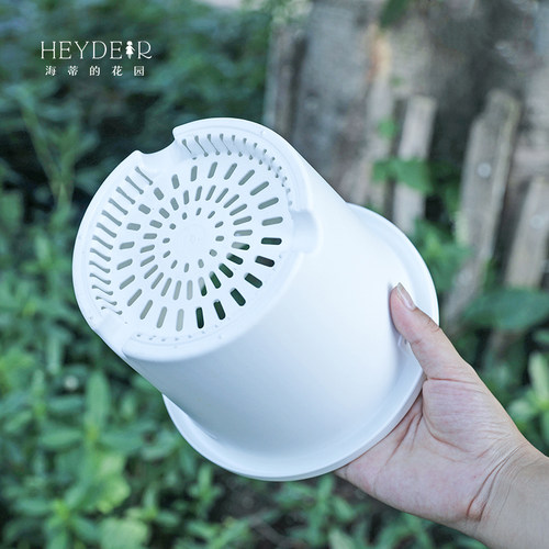 海蒂的花园爱丽思Deepot大花盆深型圆形耐用阳台花园简约花盆家用 - 图1
