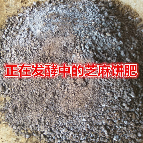 有机发酵腐熟芝麻渣豆饼菜籽饼肥农家蔬菜园花卉盆栽果树通用肥料 - 图3