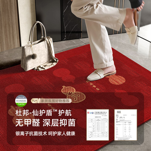新款进门地垫入户门垫家用乔迁门口防滑垫子入户喜庆地毯红色脚垫 - 图0