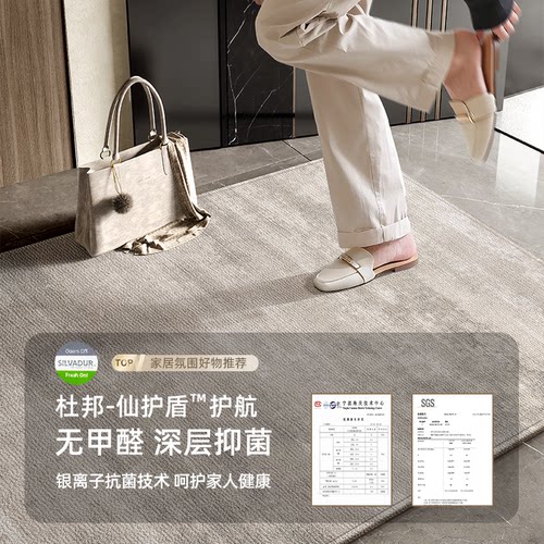 入户门口地毯高级感别墅进门地垫免洗耐脏入户门脚垫入门门垫新款 - 图1