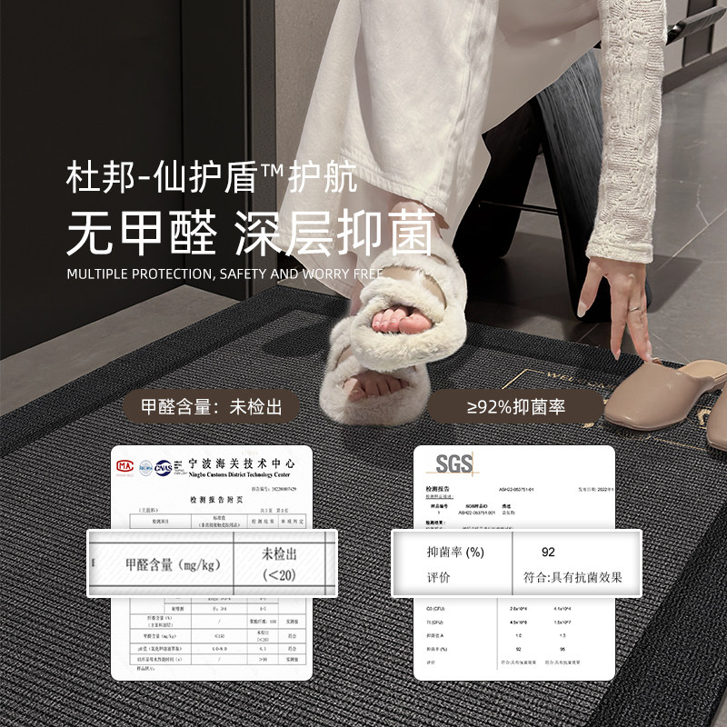 新款入户门口地垫进门防滑地毯家用门垫入户门脚垫可擦洗大门垫子,淘宝优惠券,粉丝福利购,淘宝优惠卷