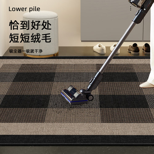 入户门地垫家用脚踏垫新款轻奢高级感地毯防滑门口地垫门外脚垫子 - 图2