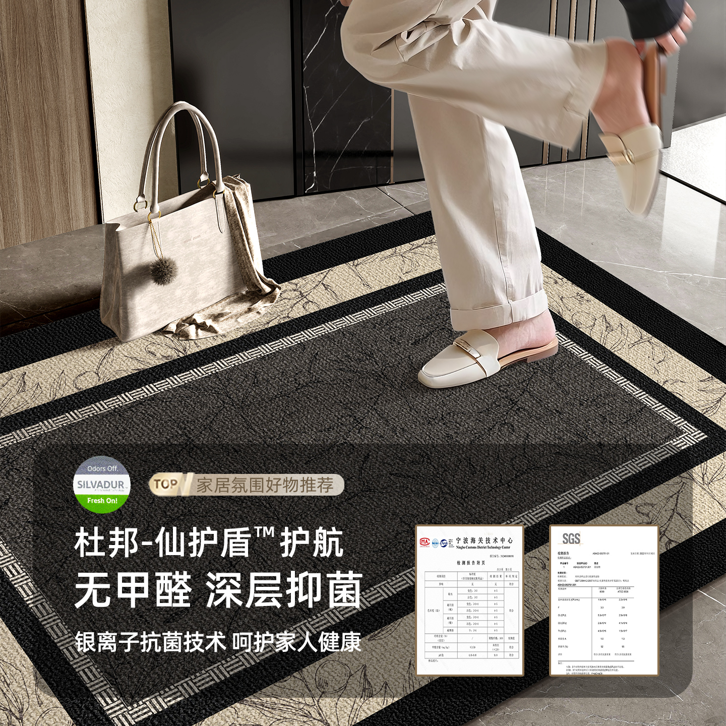 入户门地垫门口进门入户脚垫2025新款进门家用脚踏垫高级入门地毯 - 图0