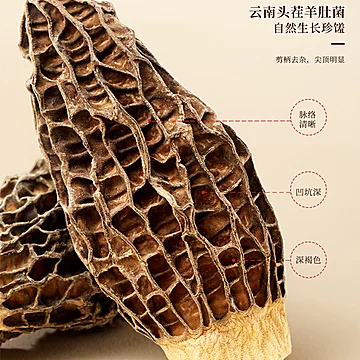【福东海】四拼菌菇礼盒215g[101元优惠券]-寻折猪